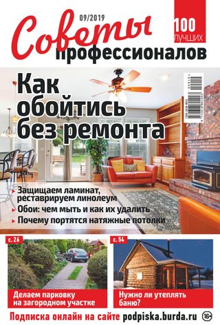 Советы профессионалов - Issue 9, 2019 Советы профессионалов Cover - Issue 9, 2019 Edition