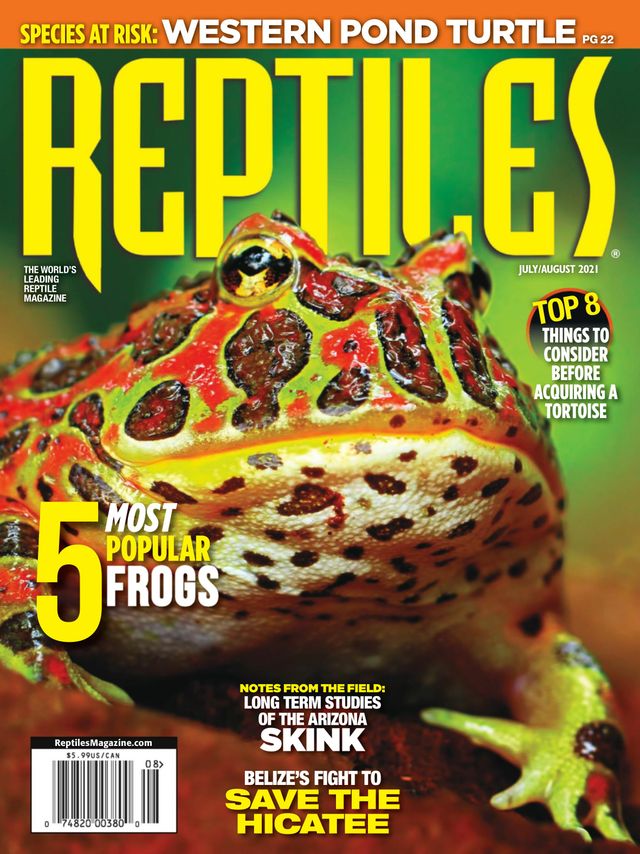 Reptiles Magazine
