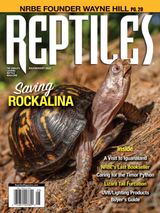 Reptiles Magazine
