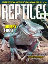 Reptiles Magazine