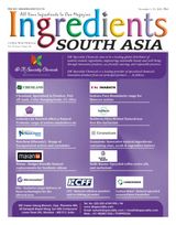 Ingredients South Asia