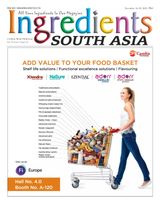 Ingredients South Asia