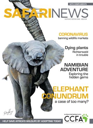 Safari News - Elephant Edition 2020 Safari News Cover - Elephant Edition 2020 Edition