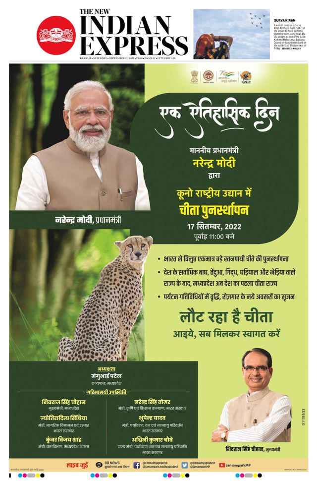 मैगज़्टर गोल्ड के साथ असीमित हो जाओ