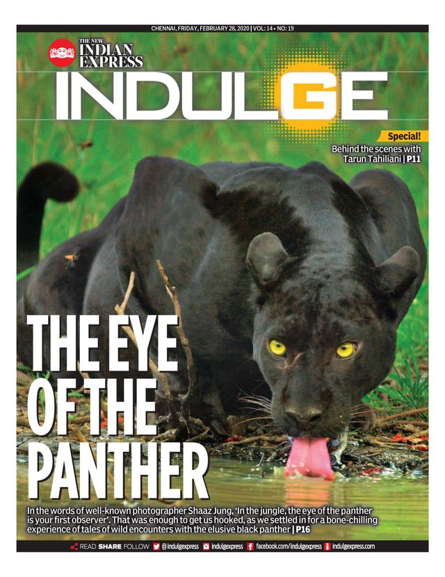 Indulge - Chennai