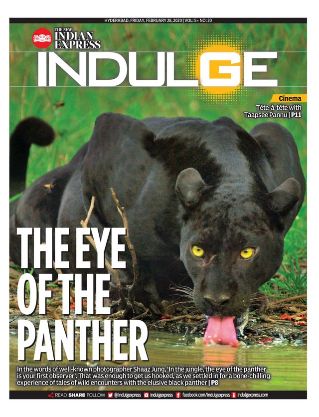 Indulge - Hyderabad