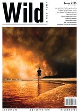 Edition 175