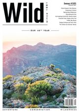 Edition 181