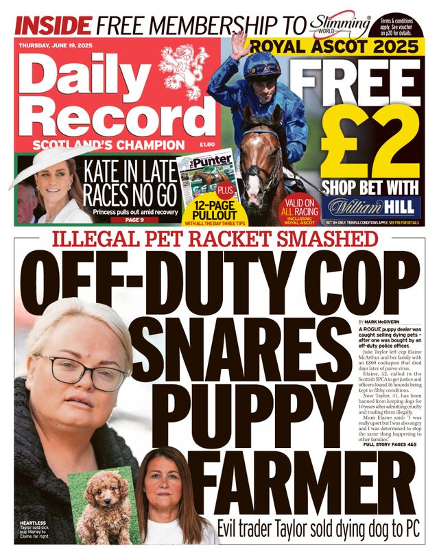 Daily Record
