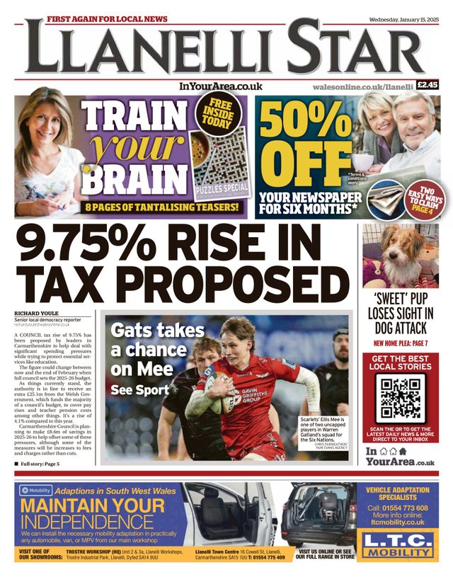 Llanelli Star