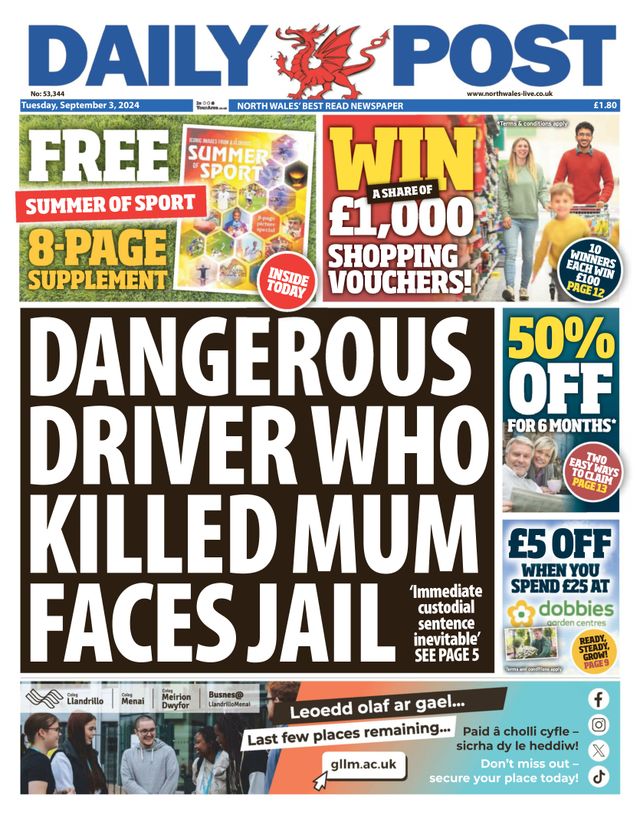 Daily Post