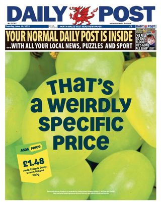 Daily Post