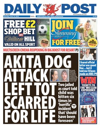 Daily Post - June 14, 2025 Daily Post Cover - June 14, 2025 Edition