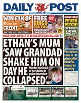 Daily Post