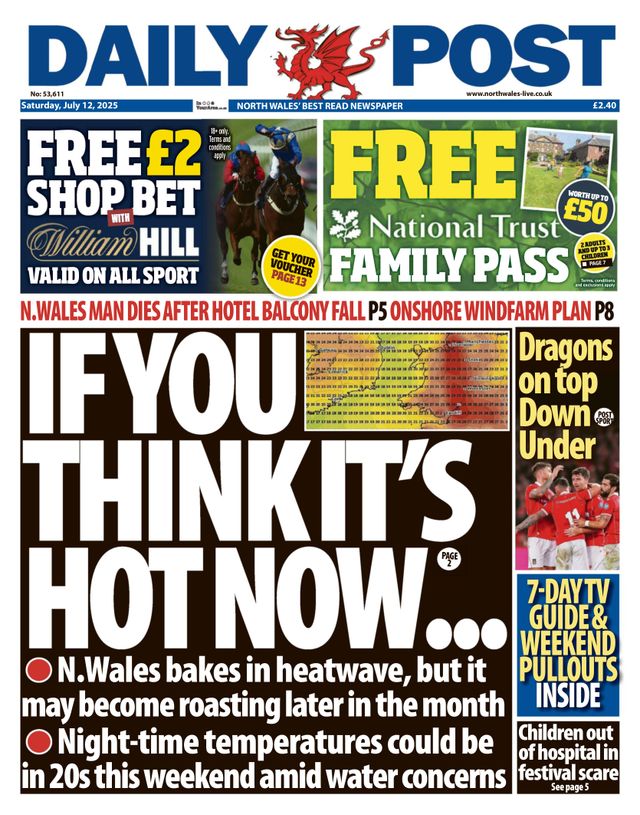 Daily Post