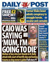 Daily Post