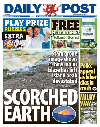Daily Post