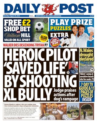 Daily Post