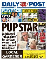 Daily Post