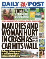 Daily Post