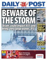 Daily Post