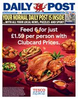 Daily Post