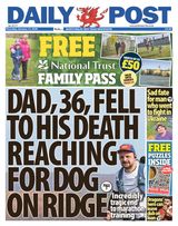 Daily Post