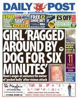 Daily Post
