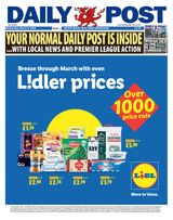 Daily Post