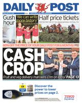 Daily Post