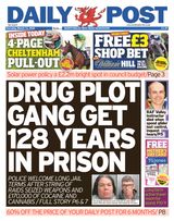 Daily Post