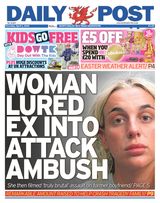 Daily Post