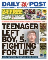 Daily Post