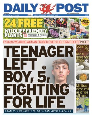 Daily Post