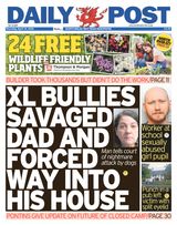Daily Post