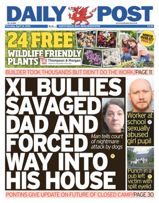 Daily Post