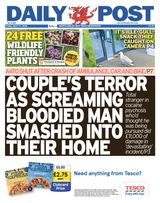 Daily Post