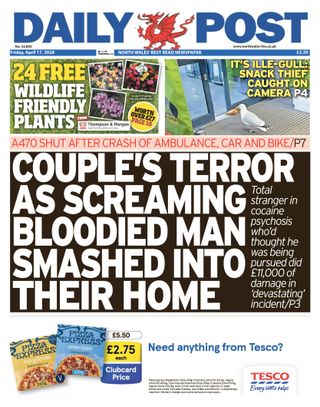 Daily Post