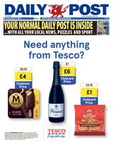 Daily Post