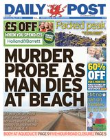 Daily Post