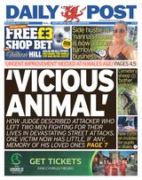 Daily Post