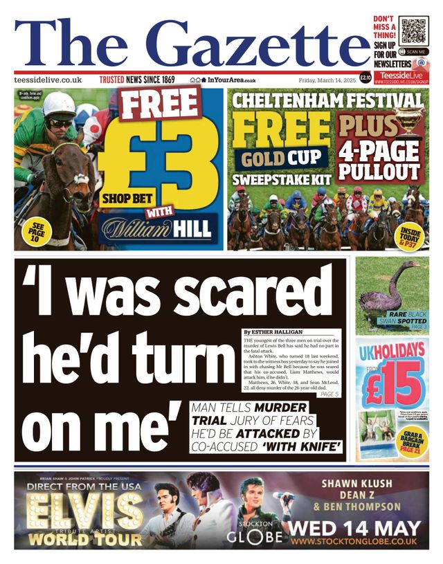 मैगज़्टर गोल्ड के साथ असीमित हो जाओ