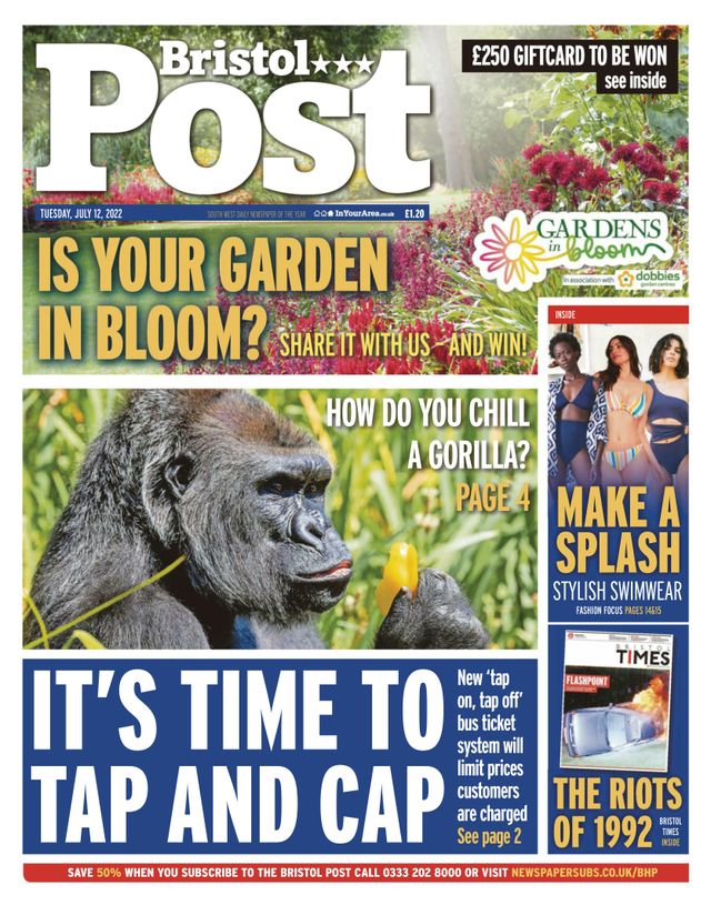 Go Unlimited with Magzter GOLD