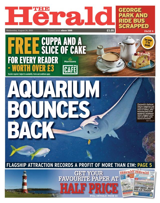 The Herald