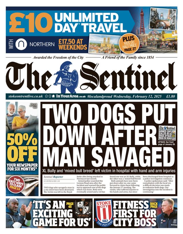 The Sentinel