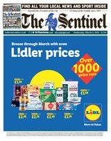 The Sentinel