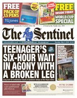 The Sentinel
