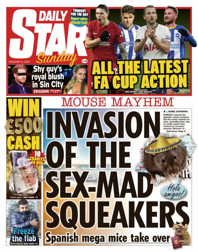 Daily Star Sunday