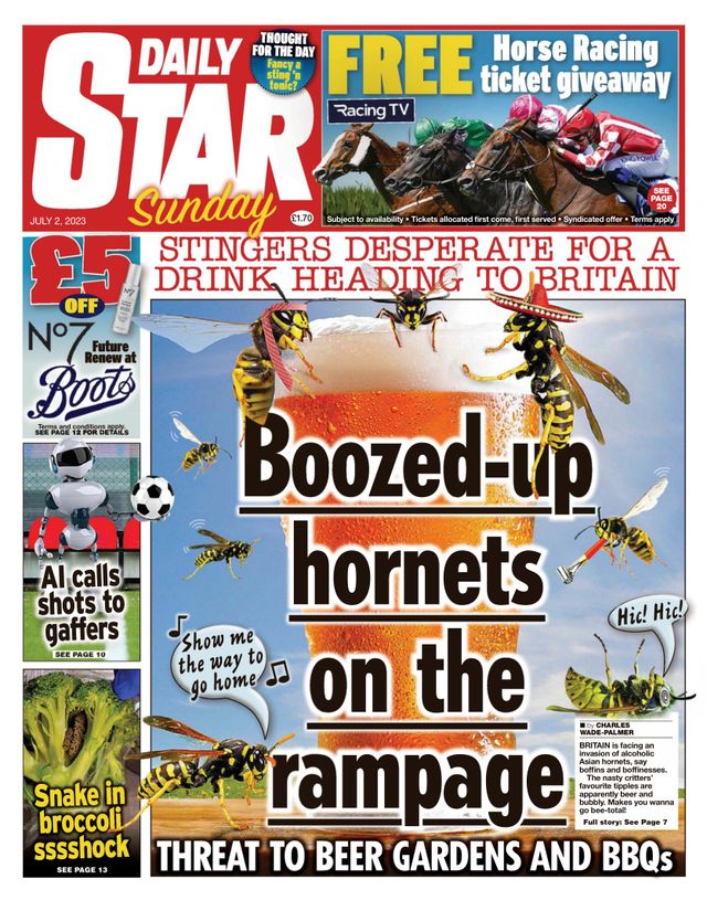 Daily Star Sunday