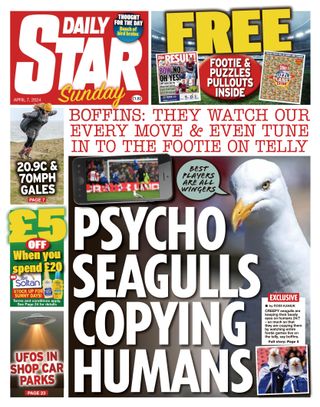 Daily Star Sunday